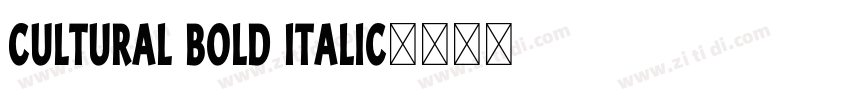 CULTURAL Bold Italic字体转换